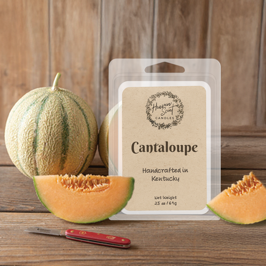 Cantaloupe Tart Melt