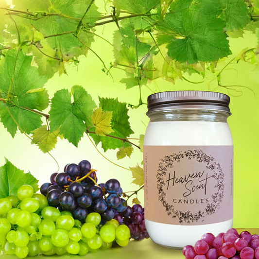 Vineyard 16oz